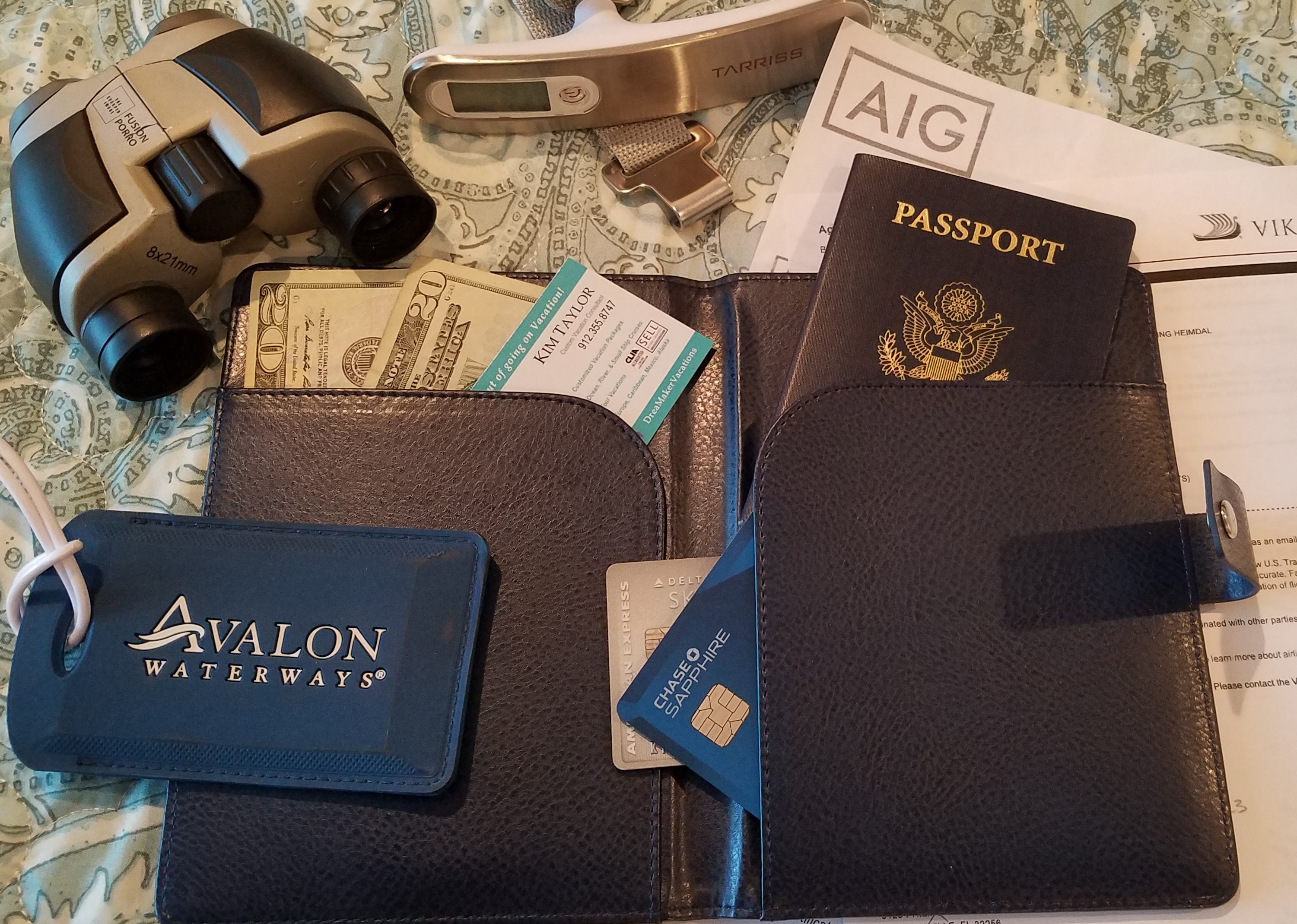 Passport, Travel Wallet, Travel Documents, Cash, Credit Cards